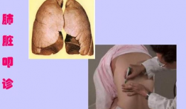 肺上界叩诊视频,肺上界叩诊技巧与案例分析