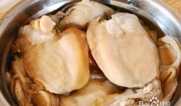 河蚌的做法与清洗视频,河蚌清洗与处理技巧全解析